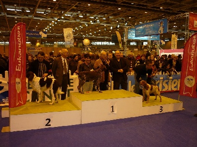 di l'alba di macchia - Concours Général Agricole 2012