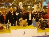  - Concours Général Agricole 2012